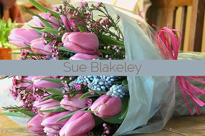 Sue Blakeley